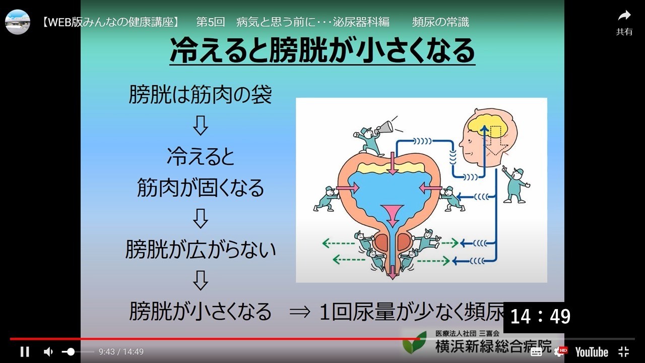 病気と思う前に... ～泌尿器科編①～　　　　　頻尿の常識