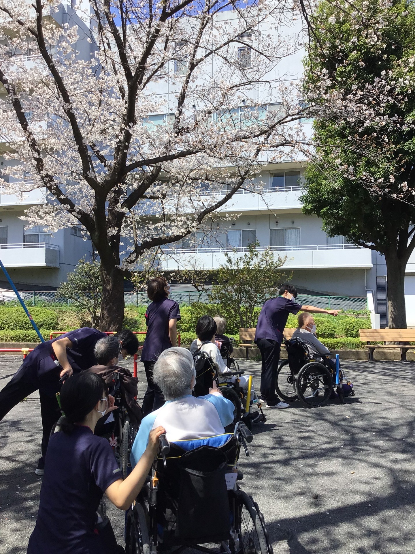 回復期リハビリテーション病棟　～お花見～